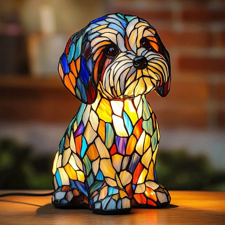 Sam | Enchanted Lamp